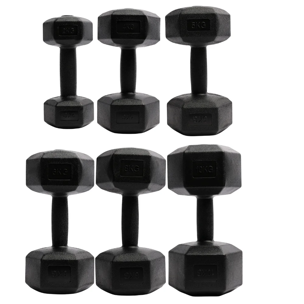 Kunststoff-Hex-Hantelset, Hantelpaar, rutschfest und rollfest, sechseckige Gewichte für Krafttraining, Bodybuilding, Übungen und Workout