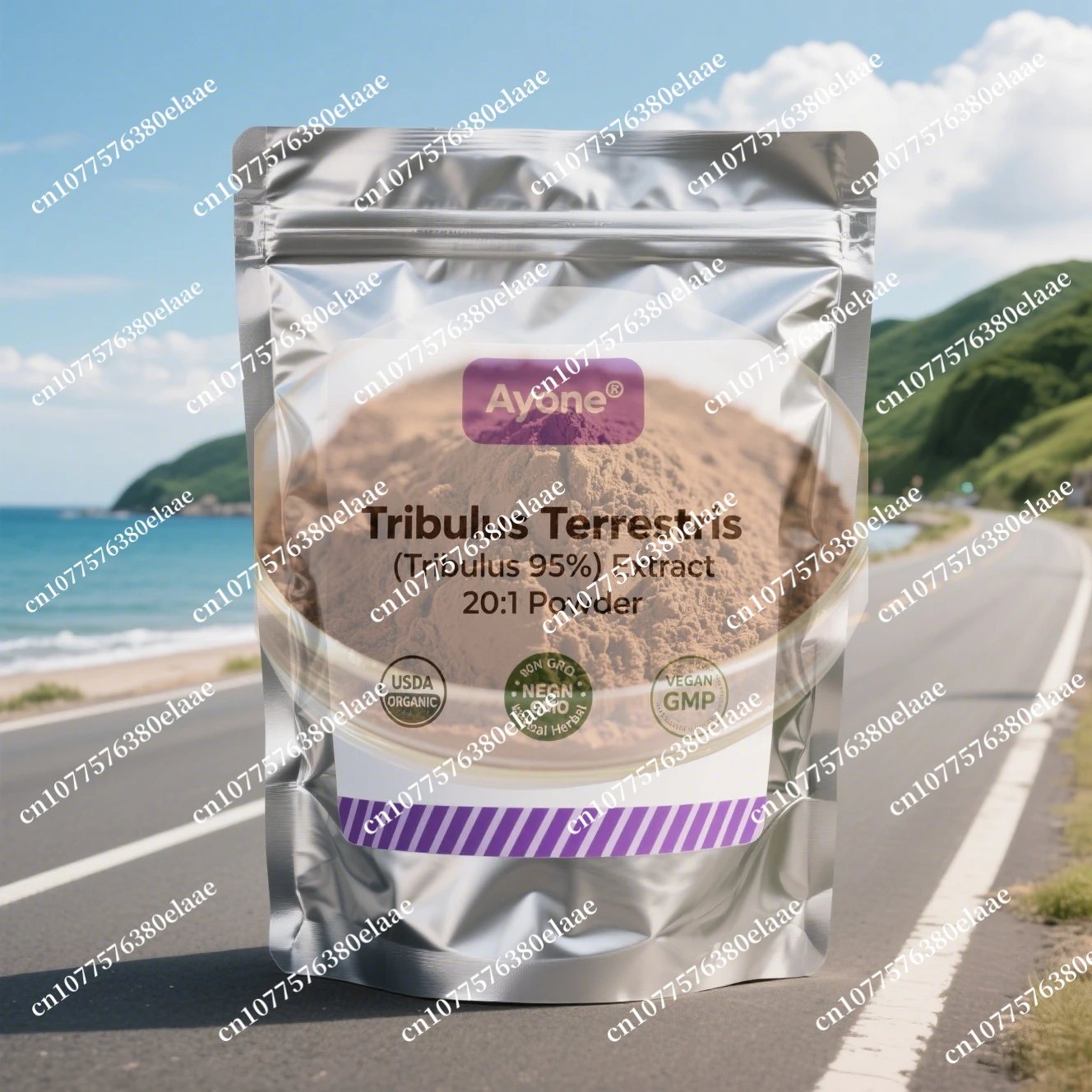 Home Crafts (Soap M… - image