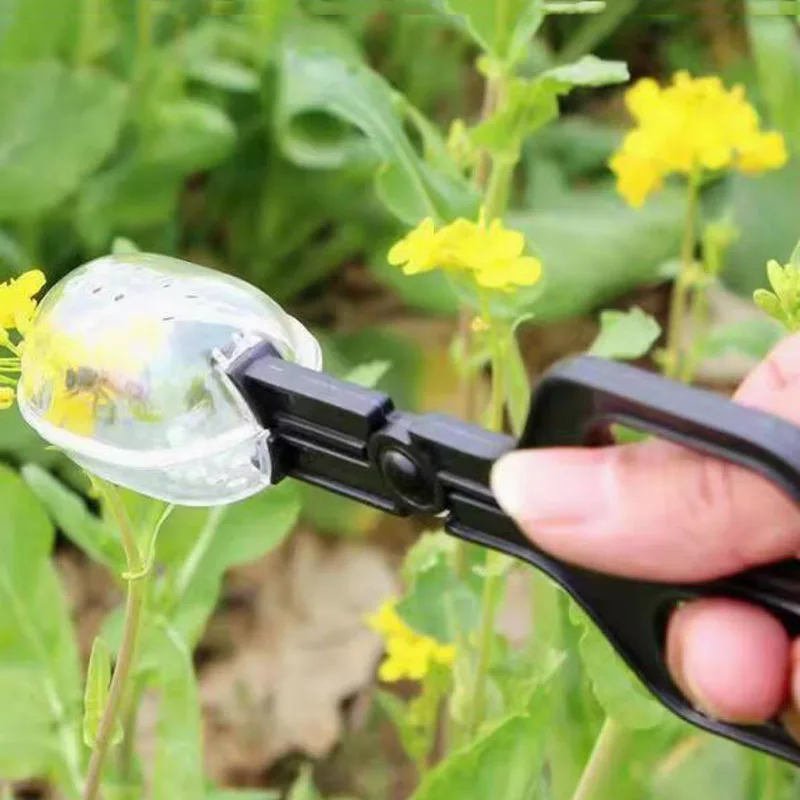 Scissor style wild bee design, queen bee with stomata capture fixture
