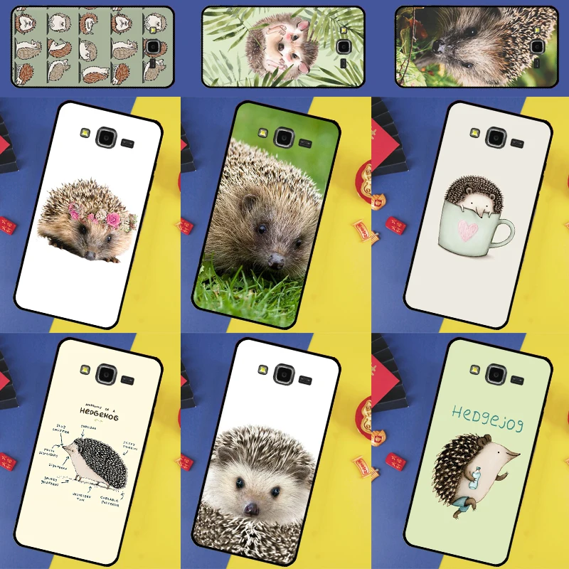 Hedgehog For Samsun…