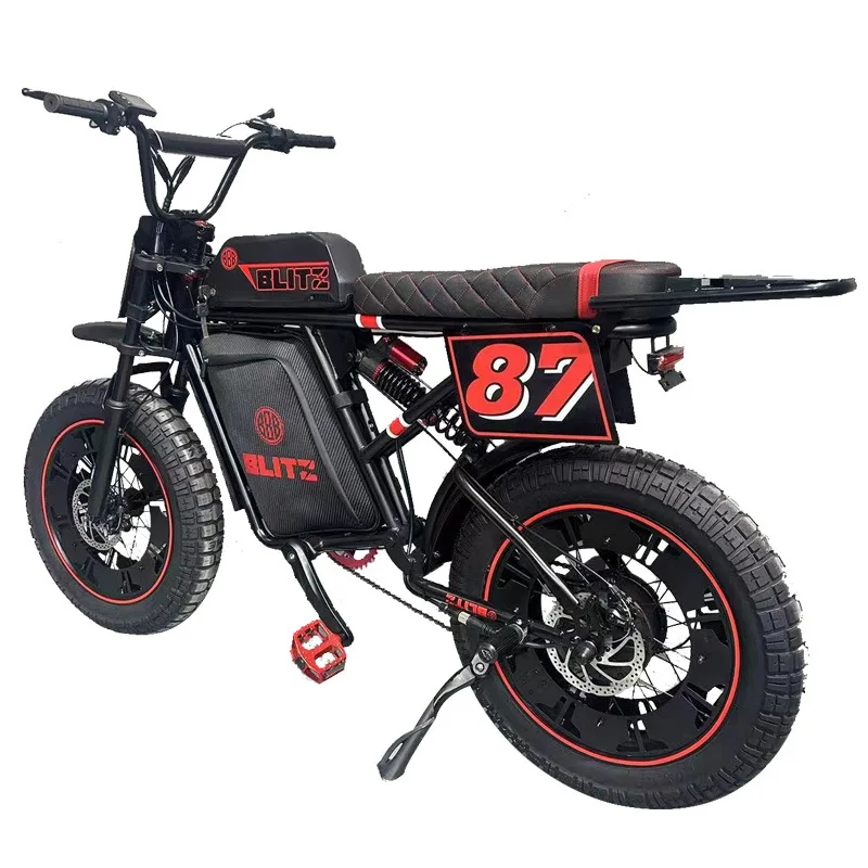 20 Inch Fat Tire Electric Bike,48V500W Motor,Snow Sand Mountain Off-Road EBike,Hydraulic Disc Brake,Aluminum Frame