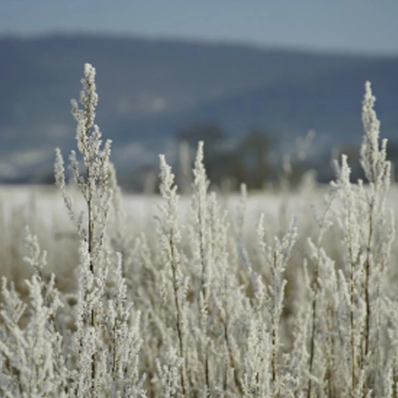 

HAKRC 32BIT 65A BLHeli_32 2-8S 4in1 Brushless ESC 30.5 * 30.5mm for RC FPV Racing Drone