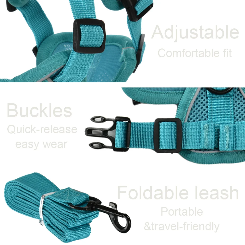Thumbnail 2 - #50 Latest Puppy Harnesses Updates