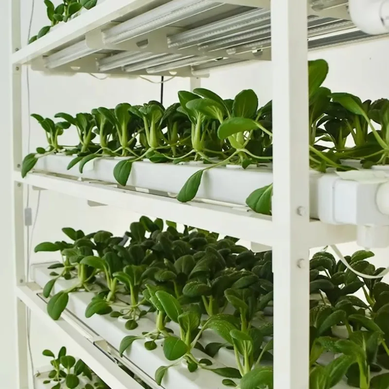 

Factory Low Price Hydroponic NFT System Equipment With LED Grow Light For Agriculture Green House