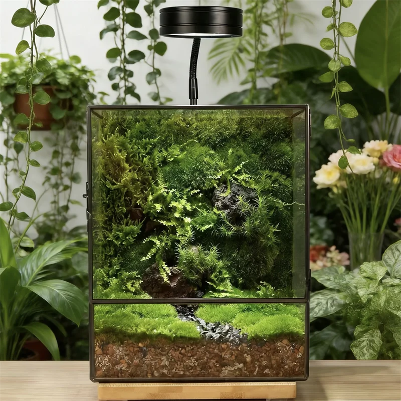 Micro Landscape Moss Fern Cube shape Geometric Glass Terrarium with Door Tabletop Vases Desktop Mini Forest Decor Greenhouse