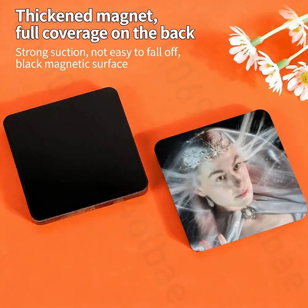 P-phoebe bridgers lost weekend Fridge Magnets Magnetic Refrigerator Memorial Gifts For Kitchen Office Locker Travel Home Deco