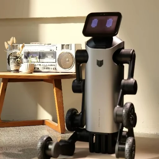 Intelligent Household Robotic Pet Designed For Companionship, Emotional Interaction, And Smart Home Integration.