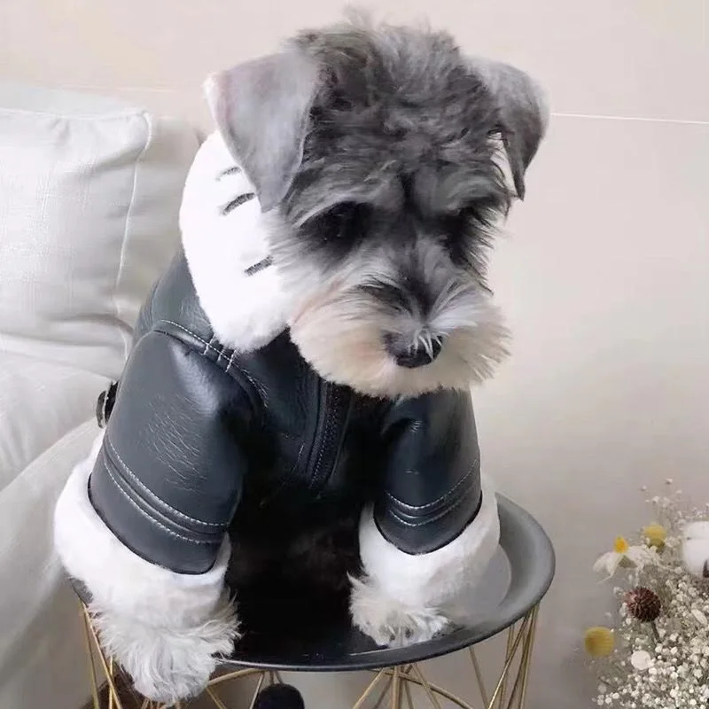 Pet Clothes Winter Autumn Warm Jacket Small Dog Wool Fashion Sweater Puppy Cool Leather Coat Chihuahua Schnauzer YorkshirePoodle