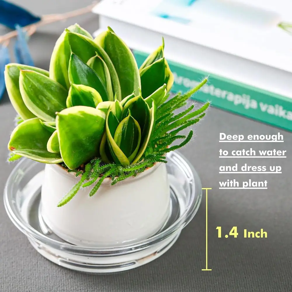 100 Pack 6 Inch Plastic Plant Trays - Outdoor Indoor Drainage Dishes for Potted Plants without Holes
