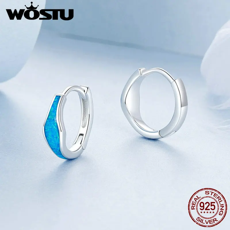 WOSTU 925 Sterling Silver Heart Opal Earrings Women Blue Opals Simple Geometric Ear Buckles Wedding Party Jewelry Gift For mom