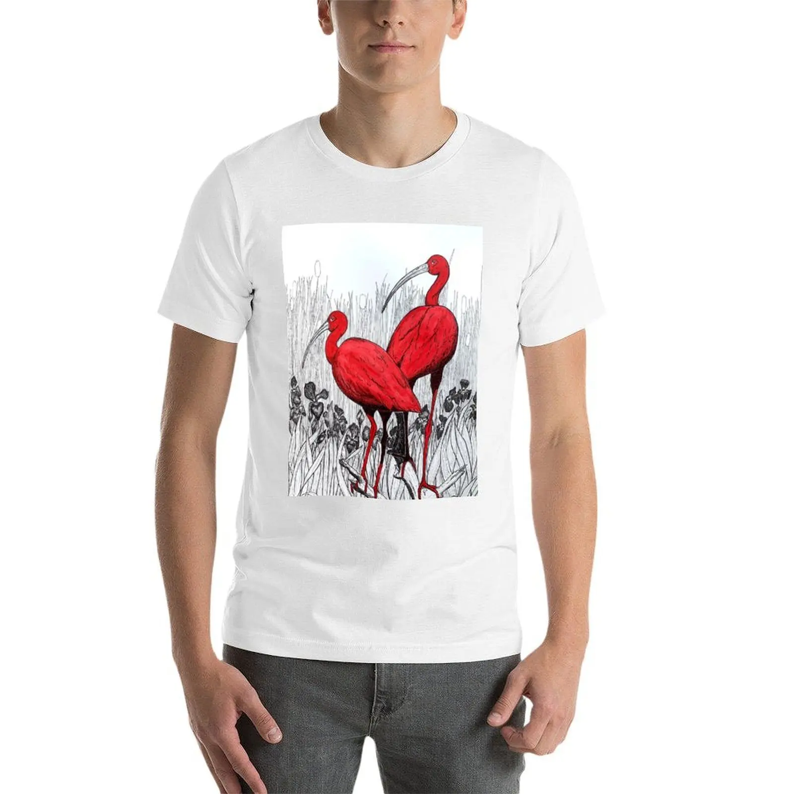 تي شيرت أحمر ibis تي شيرت للرجال بقصة ضيقة تي شيرت للرجال 100 بالمائة قطن