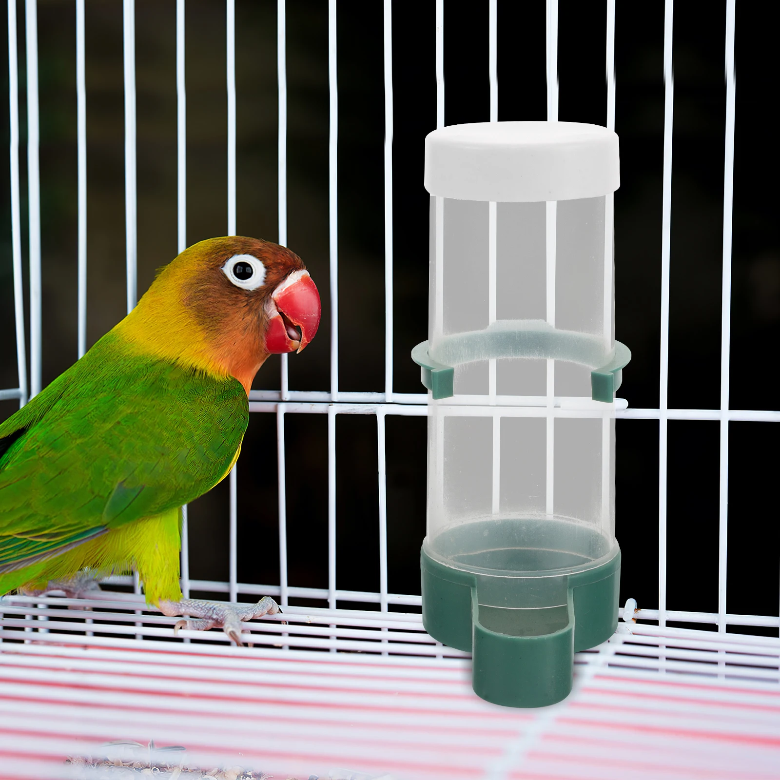 

20Pcs Automatic Bird Feeder Bird Water Dispenser Food Feeder for Cage Pet Parrots Budgie Cockatiel Indoor Hanging Dispenser