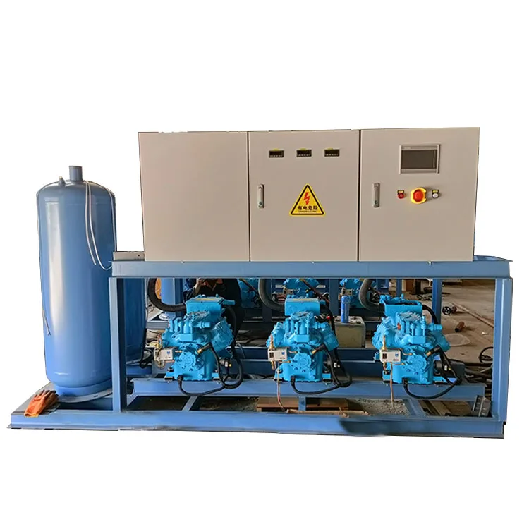 Well-Adapted Compressed Refrigerant Low-Temperature Parallel Piston Unit For Large Cold Storage