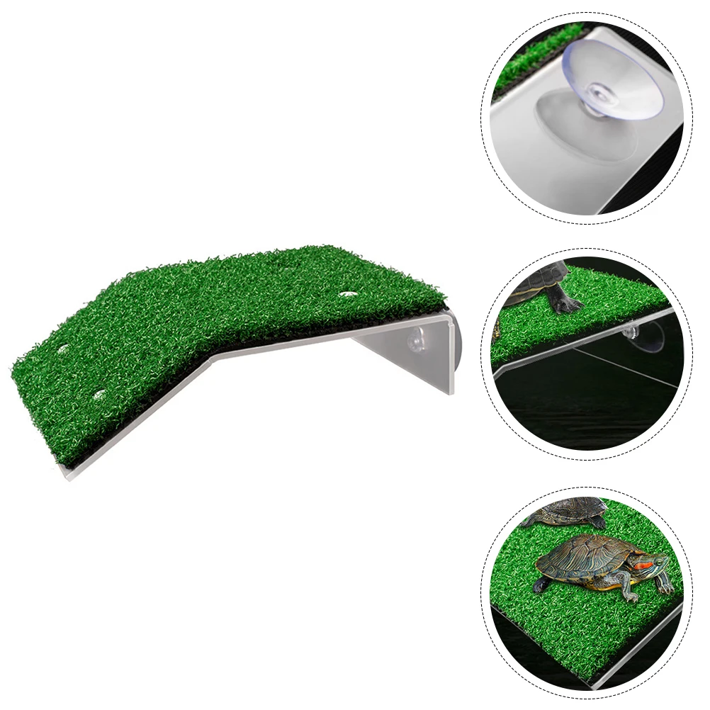 

Tortoise Terrace Platform Fish Tank Decoration Aquarium Ornament Pp Material Safe Durable Fresh Salt Water Landscape Prop Pet