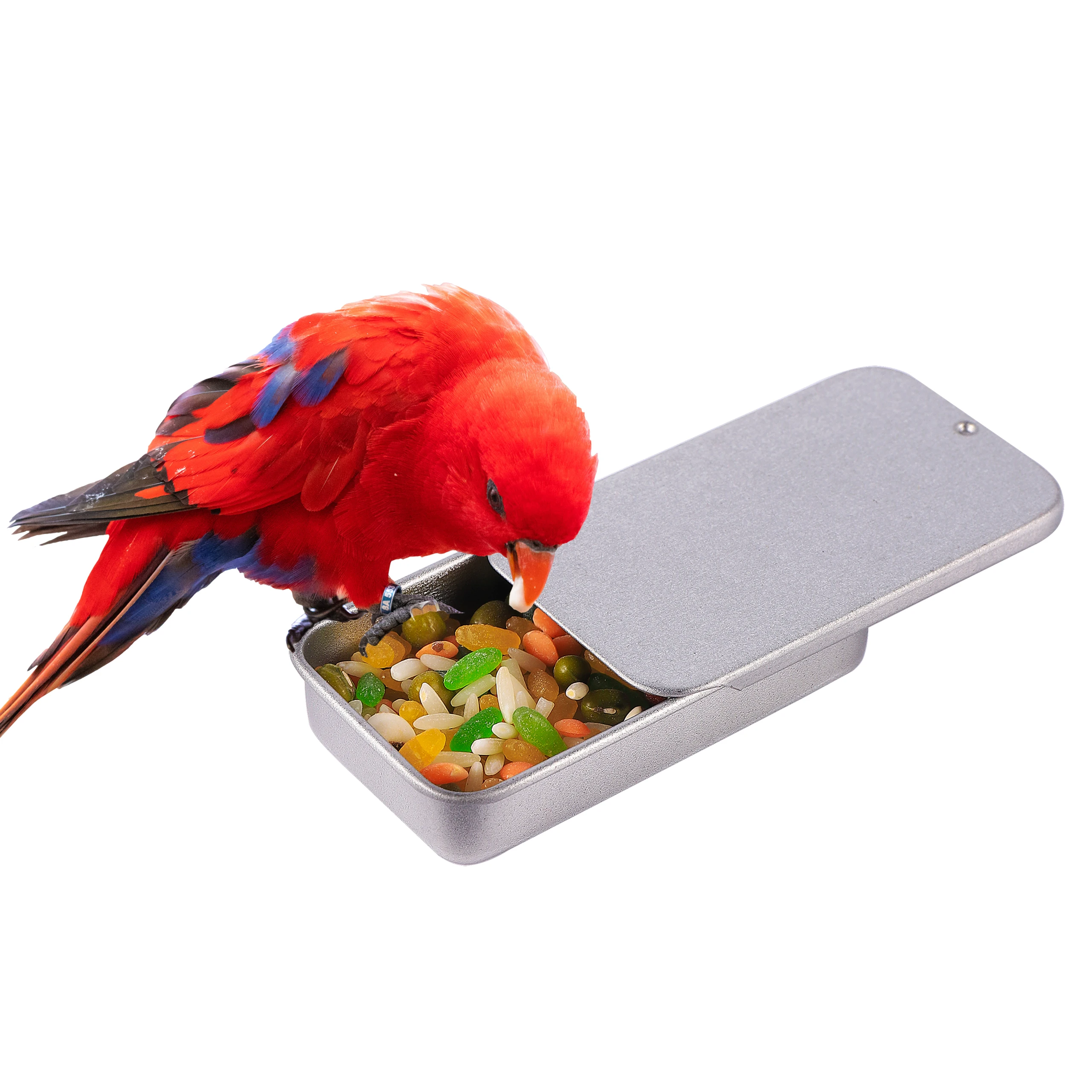 

100 Pcs Iron Bird Training Food Jar Parrot Feeding Portable Handheld Feeding Box Pet Bird Training Tool Bird Feeding Supplies