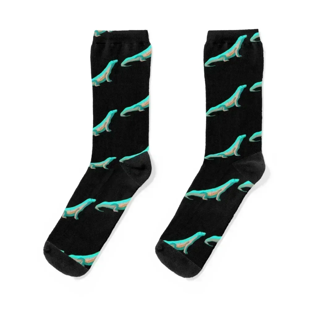 

Komodo Dragon tosca illustration Socks basketball loose designer brand gifts Mens Socks Women's