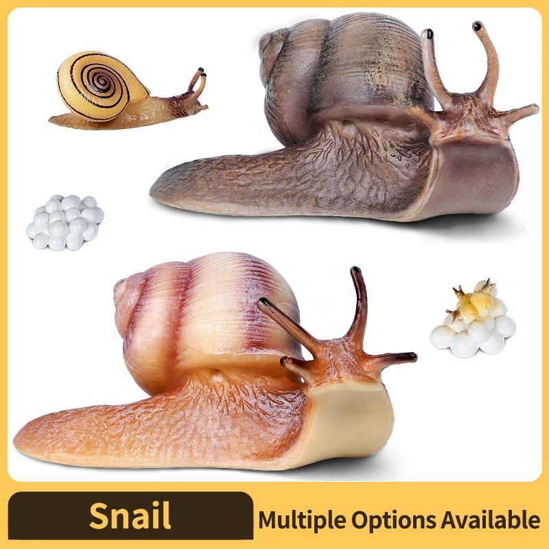 Realistic Simulation Snail Figures Lifelike Plastic Animal Decoration Desktop Yard Balcony Cognitive Educational Snail