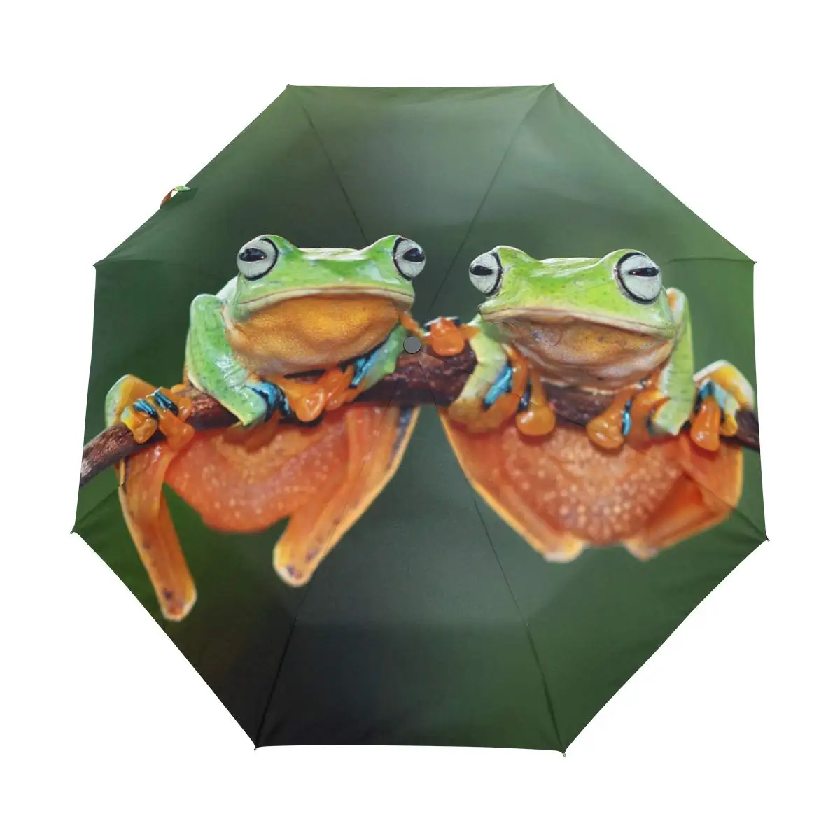 Lovely Tree Frog Folding Rain Sun Umbrella Tropical Animal Travel Umbrellas Compact Lightweight Windproof for Teens Students