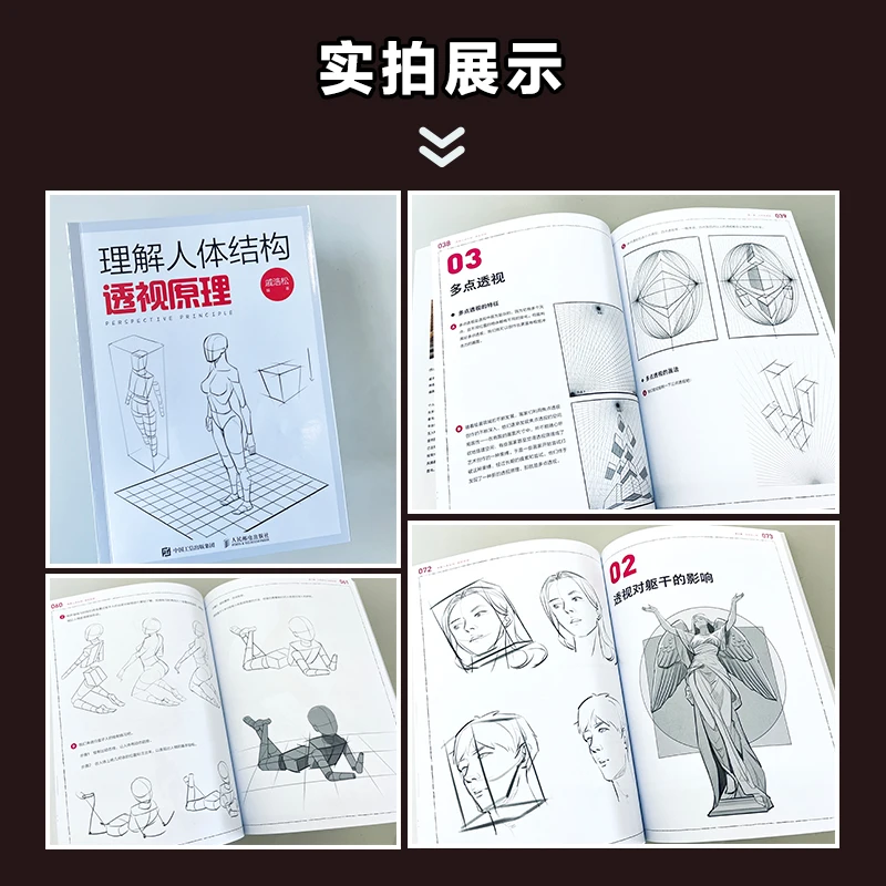 Understanding The Human Body Structure Drawing Basics Dynamic Training Perspective Principles Drawing The Human Body Structure