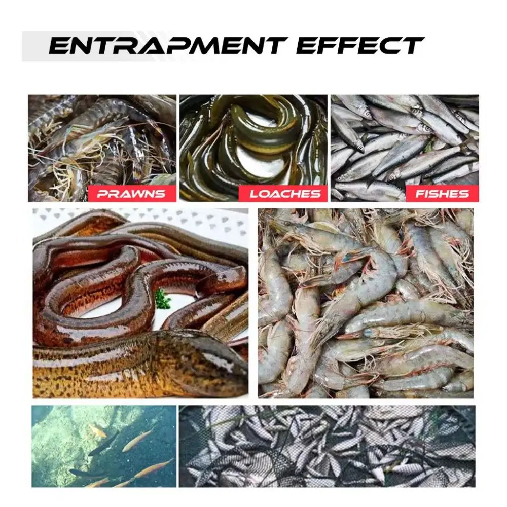 New Red Fish Bait For Fishing Net Sensation Eel Fish Attraction Lures Stimulate Olfactory Fishing Baits Grains