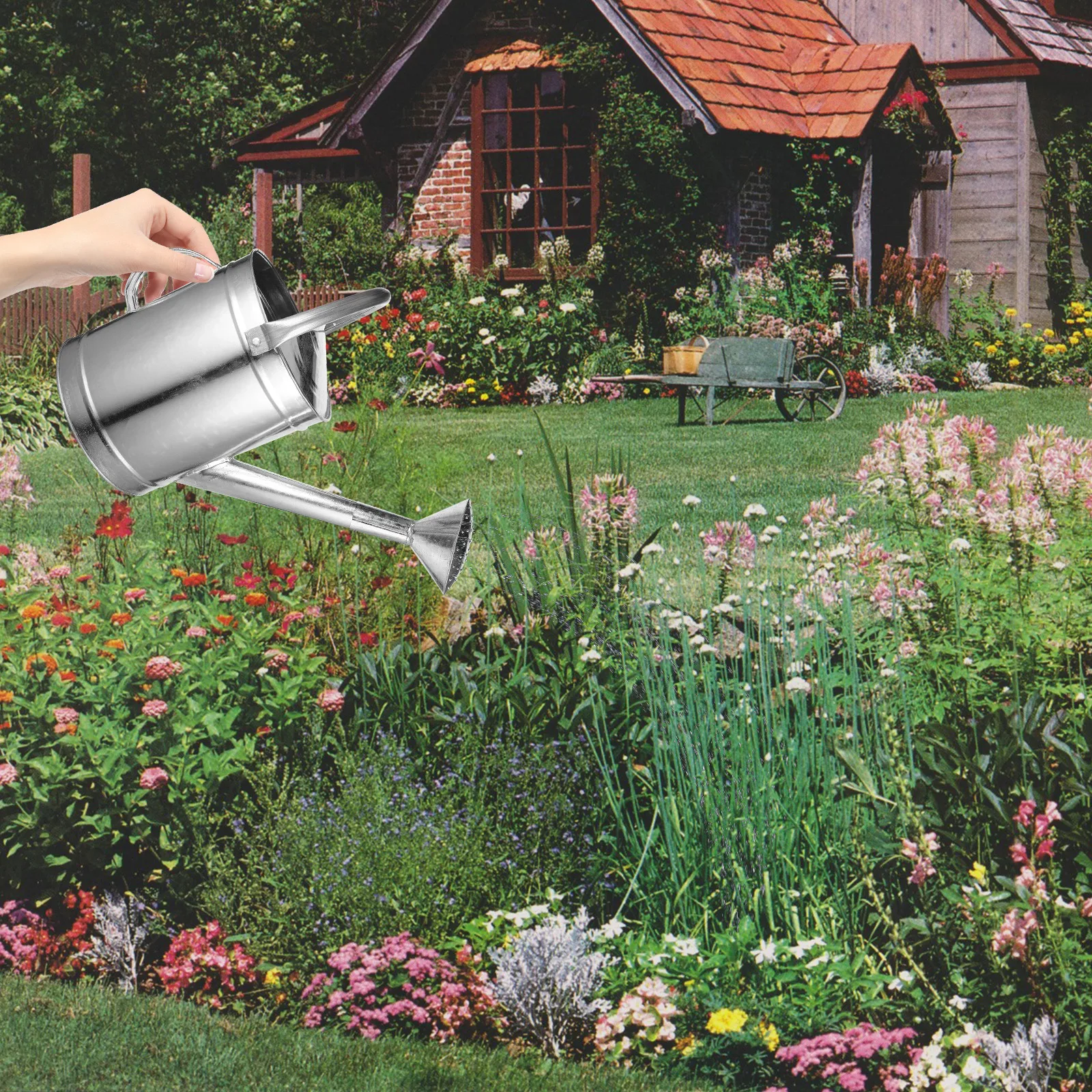

Iron Watering Can Indoor Plants Durable Spout Garden Tool Cute Design Metal Bonsai Pot for Outdoor Flowers