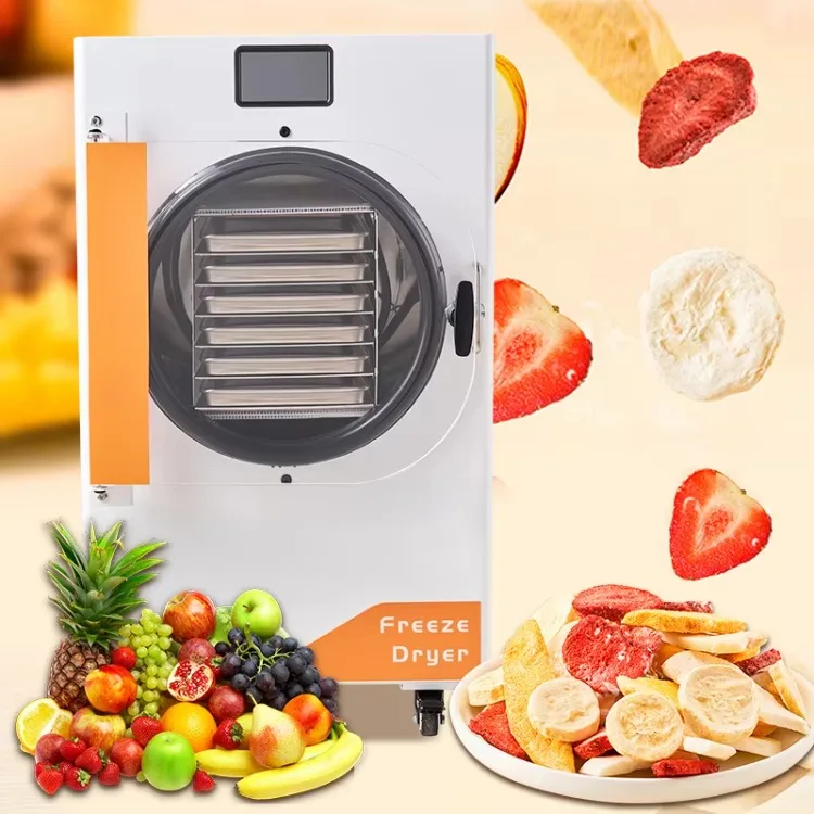 Automatic 10kg Household Freeze Drying Machine High Quality Small Size Price Home vacuum sublimation dryer for Sale Fruits Veget