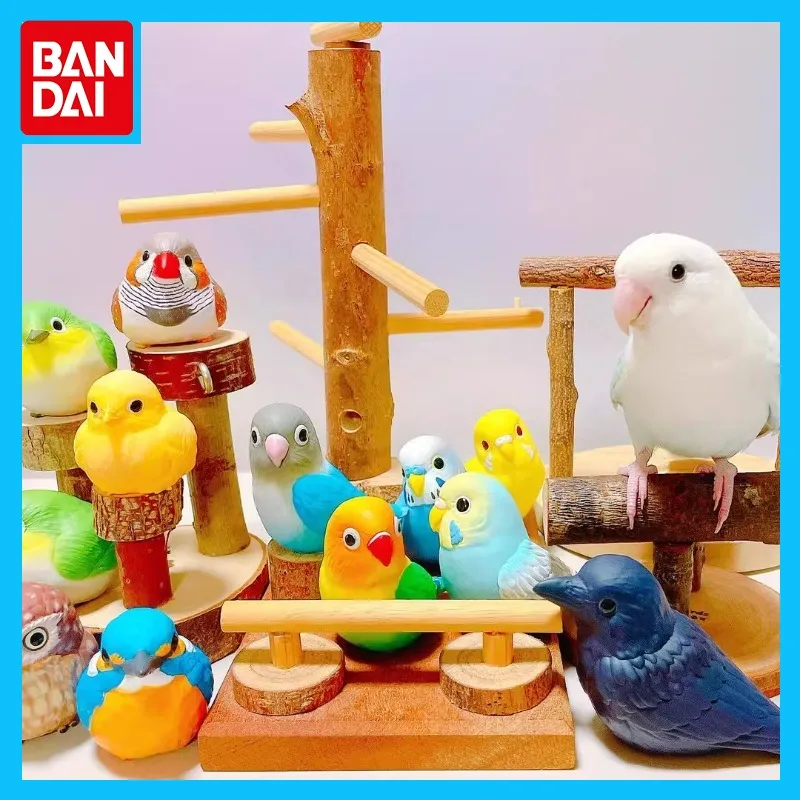 

Bandai Original Gashapon Handheld Little Cute Friend Bird Owl Parrot Crow Pearl Action Figure Toys for Boys Girls Kids Gift