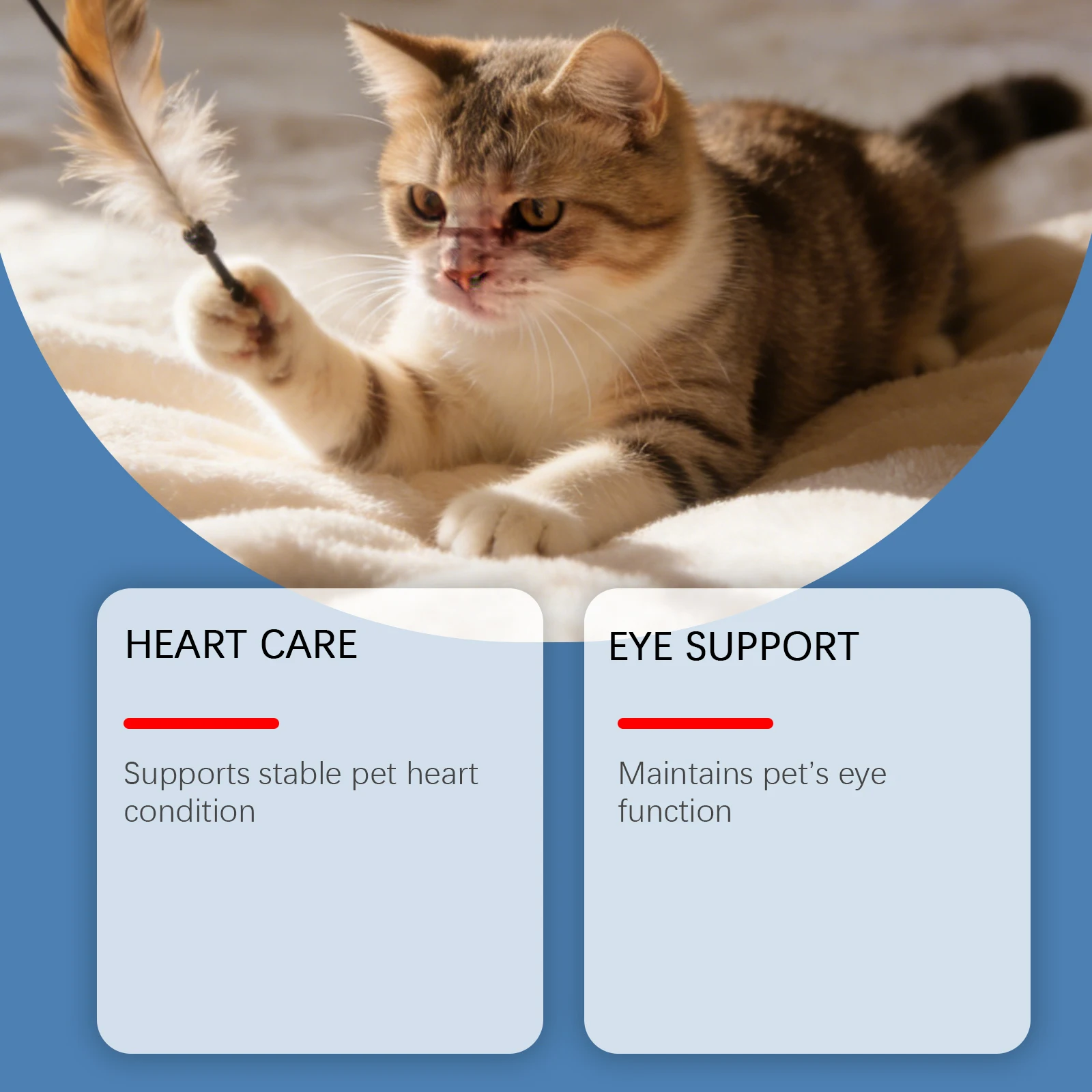 Cat Taurine Powder Ultra-Gentle Soothing Formula for Comprehensive Daily CareVital Nutritional Support & Optimal Feline Wellness