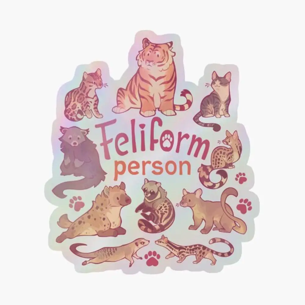 Feliform Person Holographic Sticker for Laptop Decor Bedroom Car Cute Cartoon Art Fashionable Public Suitcase