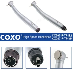 COXO Dental LED Handpiece Standard Head High Speed Handpiece Dental Turbine Torque Head 2/4 Hole Fit NSK KAVO WH Dentistry Tools