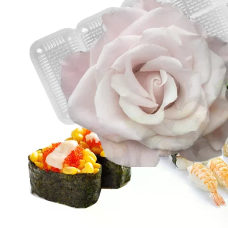 Tragbare japanische Sushi-Maker-Form für Reis, Küchenwerkzeug, Sushi-Maker-Set, Reisrollenform, Sushi-Zubehör
