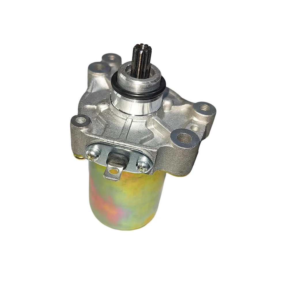 Motorino di avviamento adatto per Aprilia 125 RS125 RS 125 Rotax Go Kart Scooter parti del motociclo