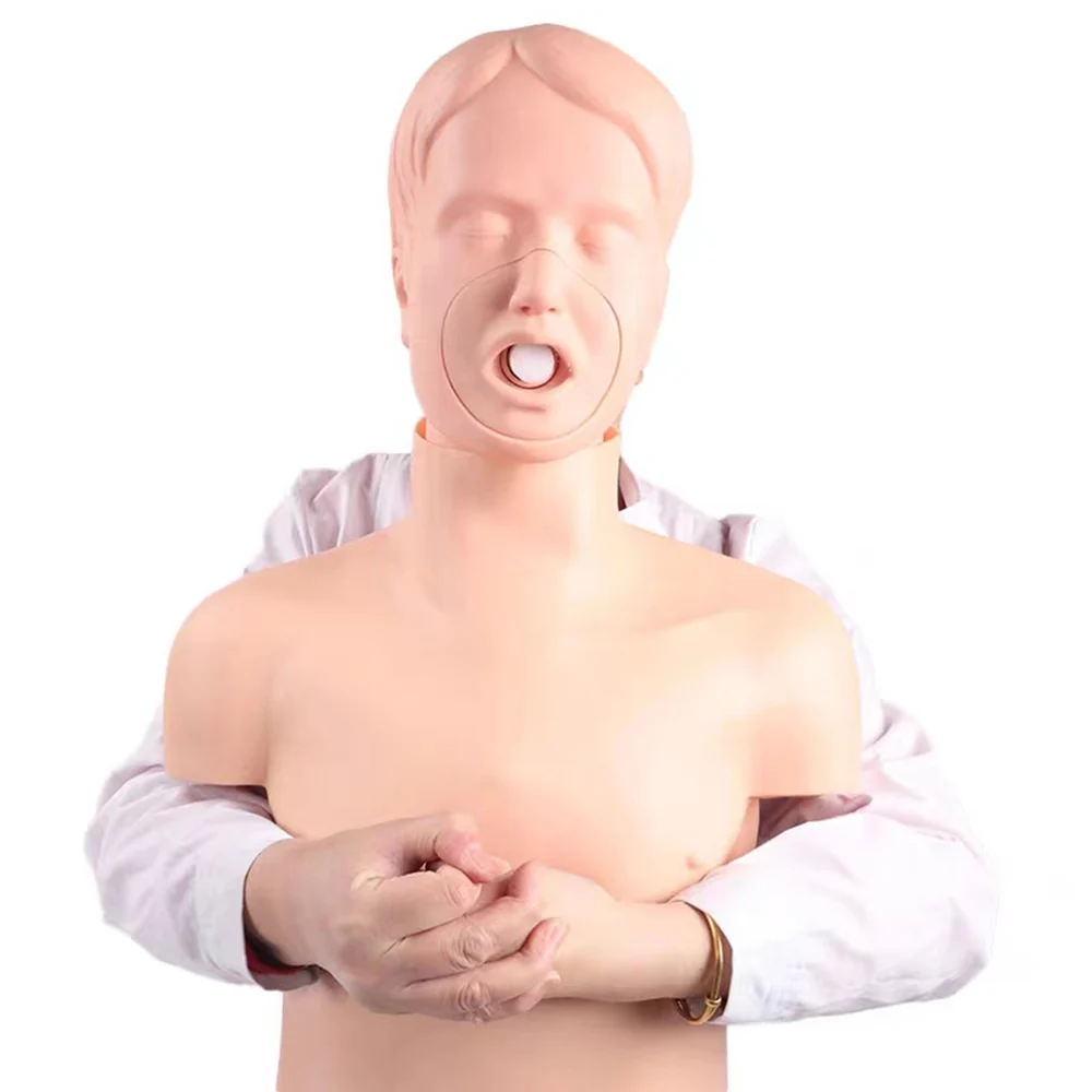 Medical Science Adult Obstruction Model Half Body CPR Training and Choking Manikin