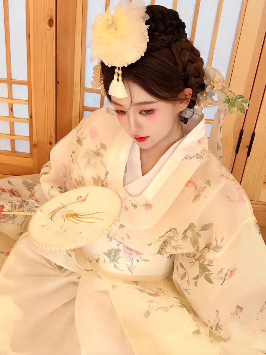 Yanji Hanfu Nowa Koreańska Sukienka Super Bajkowa Starożytny Styl Podróżna Sukienka Ślubna Damska Yanji Księżniczka Tradycyjna Sukienka Pałacowa