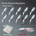 10Pcs-Size6