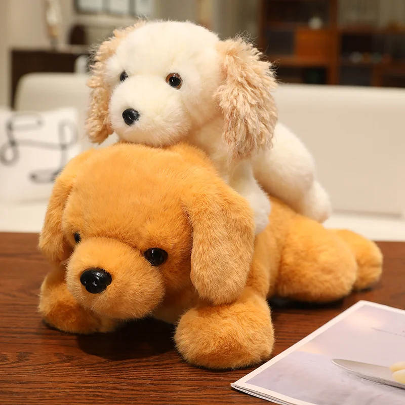 newborn baby golden retriever puppy Newborn Baby Baby Golden Retriever Puppies Golden Retriever Baby Puppy  Inside Stock Photo 714393859