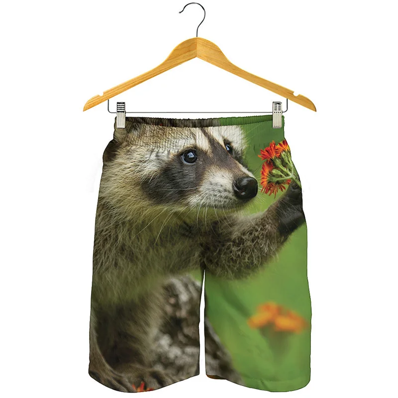 

Cartoon Raccoon Pattern Beach Shorts Men Kids 3d Print Animal Swim Trunks Streetwear Short Pants Summer Loose Surf Board Shorts