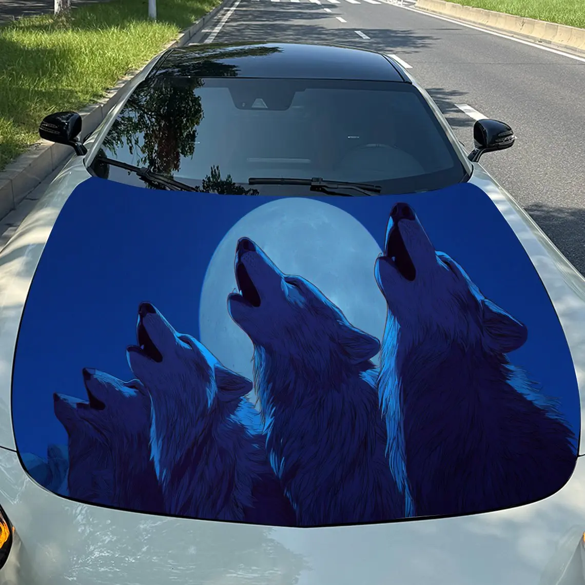 Artistic Blue Moonl…