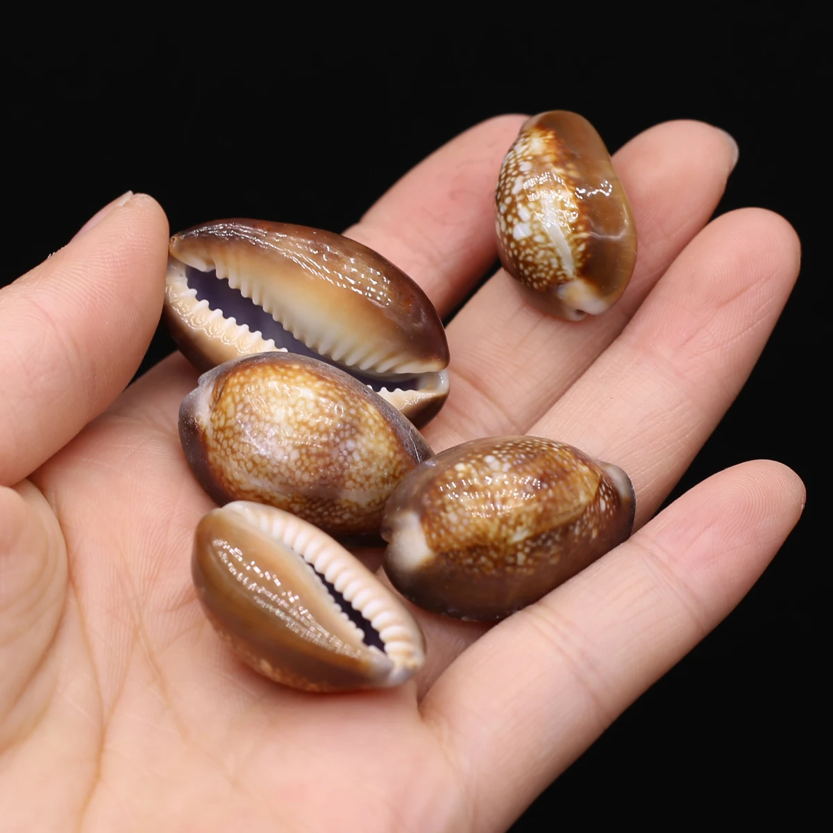 100G DIY Beads Brown SnailBead Without Hole Bathtub Landscaping For Jewelry Making DIY Clothes Accessory
