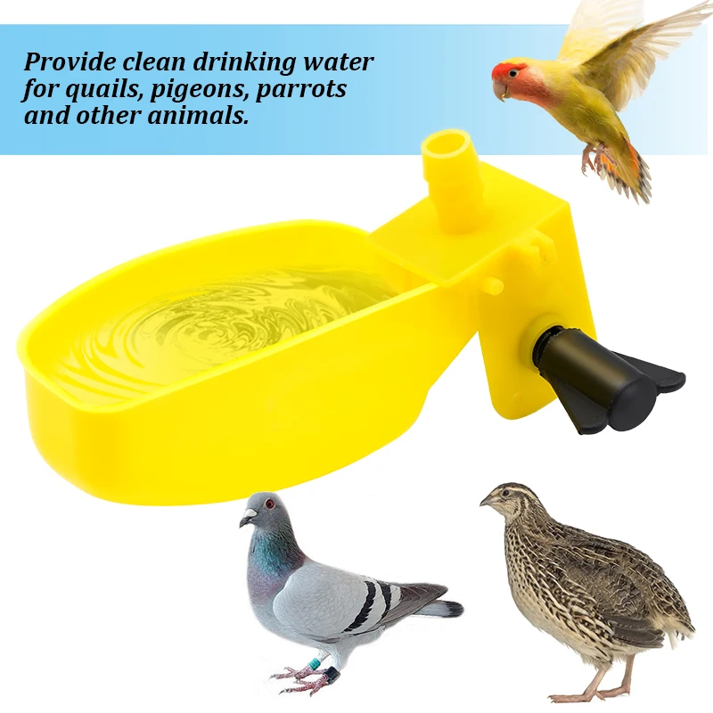 5/10Pcs Bird Drinking Bowl Pigeon Quail Automatic Water Dispenser Feeding Equipment With Interface Poultry Drinking Bowl Tools