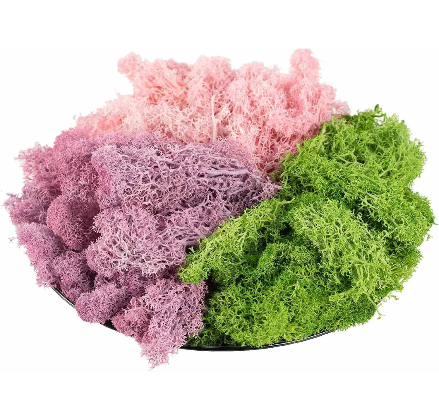 Artificial Green Pl…