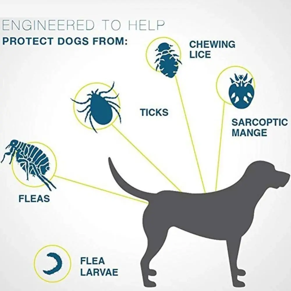برغوث الحيوانات الأليفة قابل للسحق وطوق القراد ، الوقاية من الحشرات المضادة للطفيليات ، مضاد للبعوض ، طوق القط ، 8 أشهر