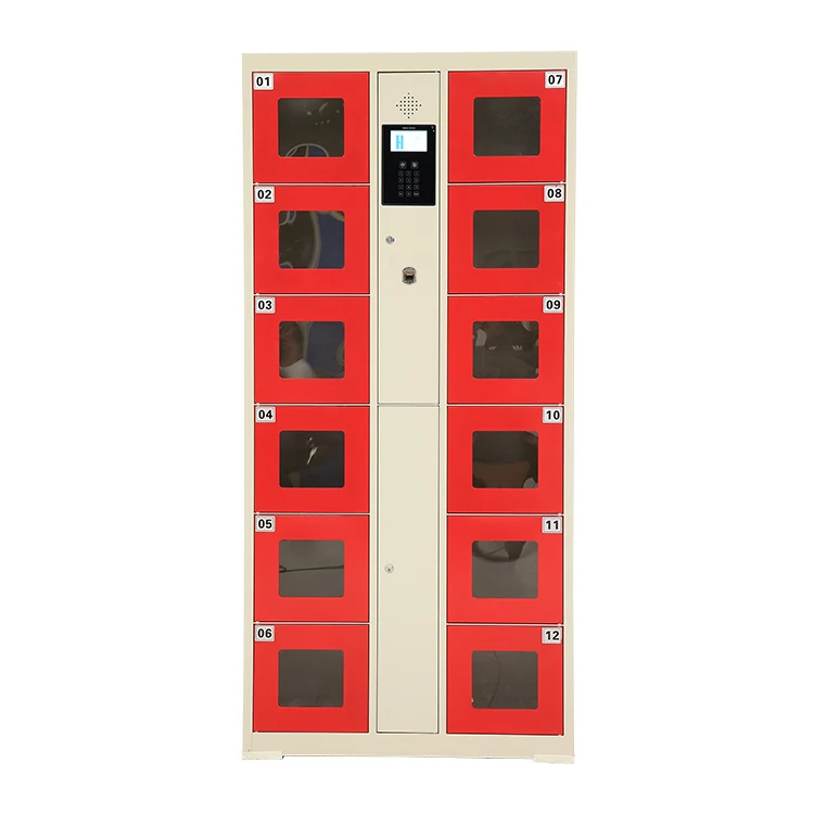 Smart Locker With Fingerprint System 12 Doors Stainless Steel Cabinet