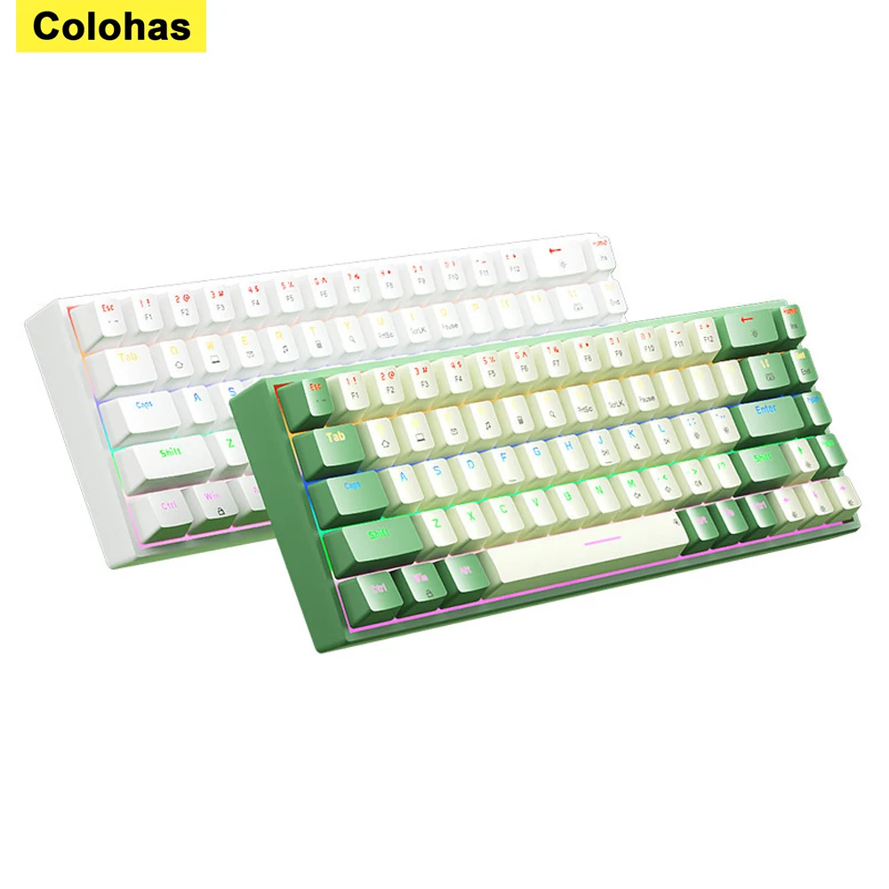 Wired Mechanical Keyboard Ergonomics 68 Keys RGB Hotswap Type-C Gaming Keyboard PBT Keycaps Keyboards For PC Computer Laptop