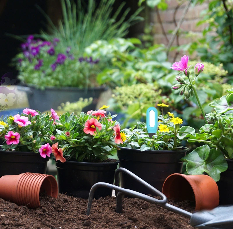 Yeni Yükseltilmiş Toprak Sensö - Smart Garden Home Assistant incelemesi ve fiyatı