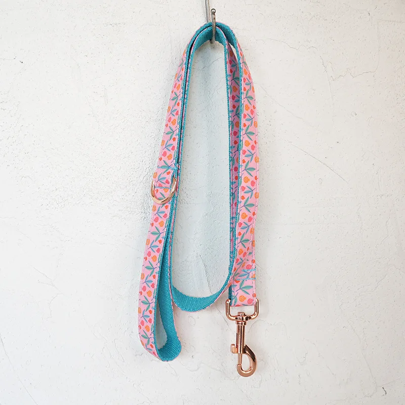 Рисунок 3 - Персонализированный ошейник для