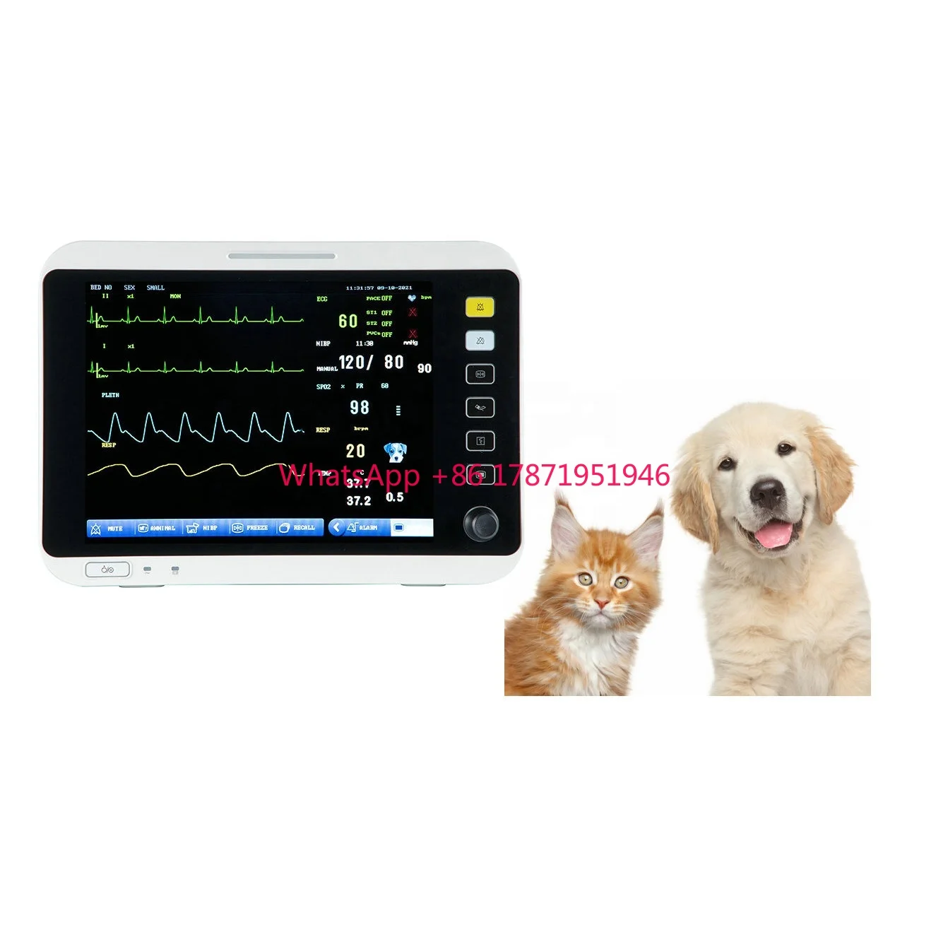 Cheap good digital monitor machine vet bold pressure meter veterinary patient monitor