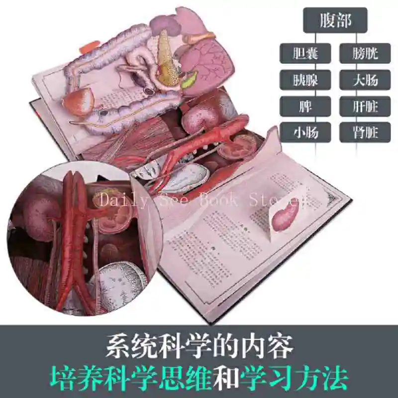 Human Body Pop-up Book, Anatomy To Explore The Mysteries of Body Operation (our Body Advanced Edition) Encyclopedia