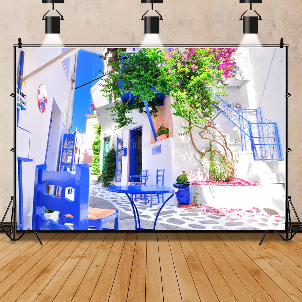 

ZHISUXI Green Retro Street Seaside Scenery Old White Painted Houses Blooming Wedding Photos Photography Background FSJ-08