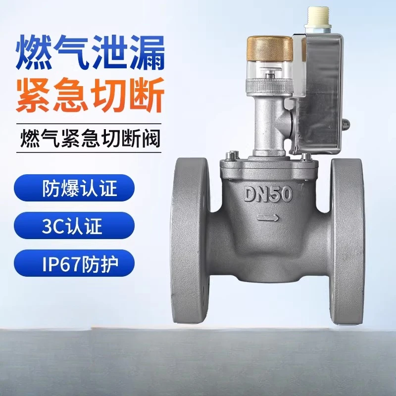 Gas Emergency Shut-Off Solenoid Valve | Normally Closed/Open, Explosion-Proof, Thread/Flange for Natural Gas/LPG